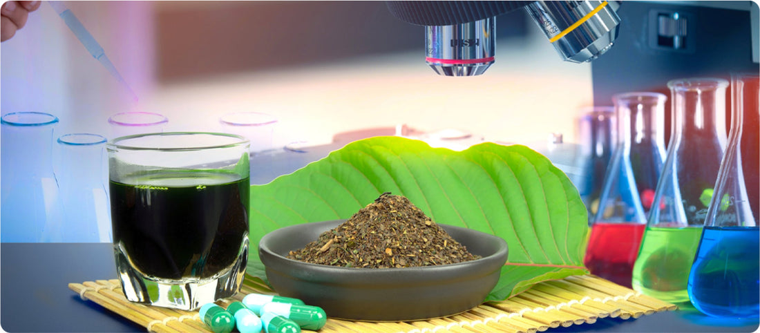 Recent Kava and Kratom Research