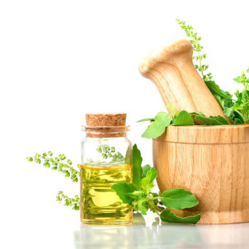 Our Ingredients